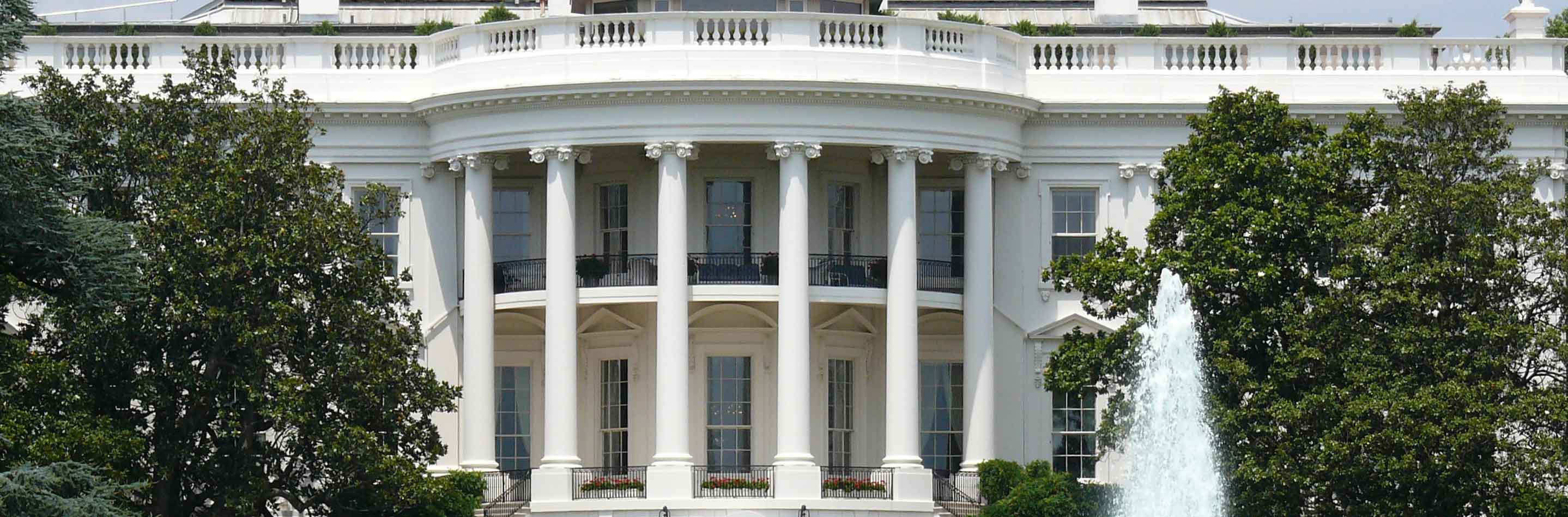White House Columns