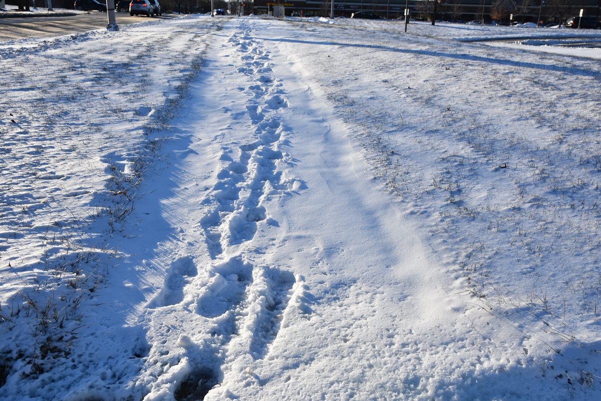 Shovel sidewalks in Naperville within 48 hours of snow event - Positively Naperville