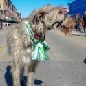 St.-Patrick-Parade-0147-March-10-2018-2