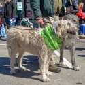St.-Patrick-Parade-0150-March-10-2018-2