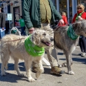 St.-Patrick-Parade-0151-March-10-2018-2