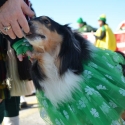St.-Patrick-Parade-0174-March-10-2018