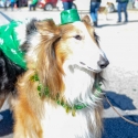 St.-Patrick-Parade-0180-March-10-2018
