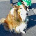 St.-Patrick-Parade-0188-March-10-2018