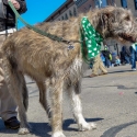 St.-Patrick-Parade-0190-March-10-2018-2