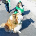 St.-Patrick-Parade-0191-March-10-2018