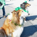 St.-Patrick-Parade-0192-March-10-2018
