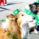 St.-Patrick-Parade-0194-March-10-2018