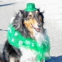 St.-Patrick-Parade-0195-March-10-2018
