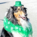 St.-Patrick-Parade-0197-March-10-2018