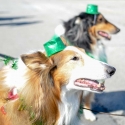 St.-Patrick-Parade-0200-March-10-2018
