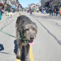 St.-Patrick-Parade-0205-March-10-2018-2