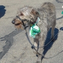 St.-Patrick-Parade-0243-March-10-2018-2
