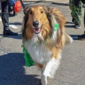 St.-Patrick-Parade-0256-March-10-2018-2