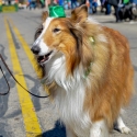 St.-Patrick-Parade-0295-March-10-2018-2