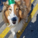 St.-Patrick-Parade-0301-March-10-2018-2