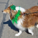 St.-Patrick-Parade-0304-March-10-2018-2