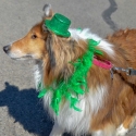 St.-Patrick-Parade-0306-March-10-2018-2