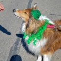 St.-Patrick-Parade-0308-March-10-2018-2