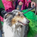 St.-Patrick-Parade-0316-March-10-2018-2