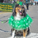 St.-Patrick-Parade-0344-March-10-2018-2