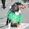 St.-Patrick-Parade-0351-March-10-2018-2