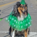 St.-Patrick-Parade-0355-March-10-2018-2
