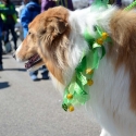St.-Patrick-Parade-0393-March-10-2018-2