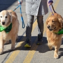 St.-Patrick-Parade-0397-March-10-2018