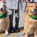 St.-Patrick-Parade-0408-March-10-2018