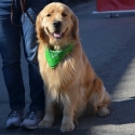 St.-Patrick-Parade-0415-March-10-2018