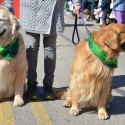St.-Patrick-Parade-0416-March-10-2018