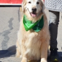 St.-Patrick-Parade-0419-March-10-2018