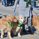 St.-Patrick-Parade-4662-March-10-2018