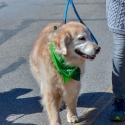 St.-Patrick-Parade-4669-March-10-2018