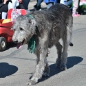 St.-Patrick-Parade-5579-March-10-2018
