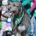 St.-Patrick-Parade-5594-March-10-2018