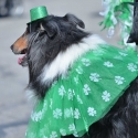 St.-Patrick-Parade-5646-March-10-2018