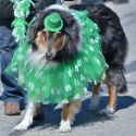 St.-Patrick-Parade-5650-March-10-2018
