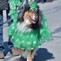St.-Patrick-Parade-5655-March-10-2018