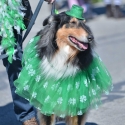 St.-Patrick-Parade-5659-March-10-2018